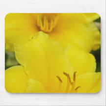 Lilies Mousepads