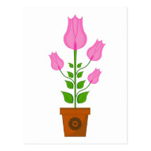 Lilly in Pot Postcard