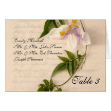 lily and vine on script table card