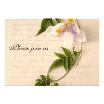 lily and vine script rehearsal dinner invitation