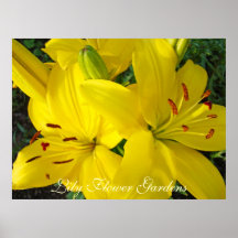 Lily Flower Gardens art prints Christmas Holiday