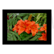 Lily flower - Iridescent orange (Matt 28-30) cards