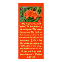 Lily flower - Iridescent orange (Matt 28-30) rack cards