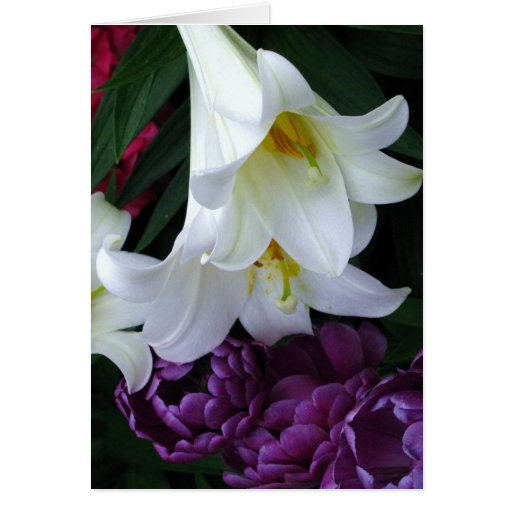 Lily Greeting Card