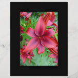 Lily - Iridescent Red (Luke 12:15) Flyer Design