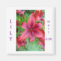 Lily - Iridescent Red (Luke 12:15) magnets