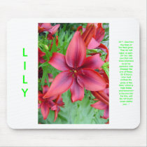 Lily - Iridescent Red (Luke 12:15) mousepads