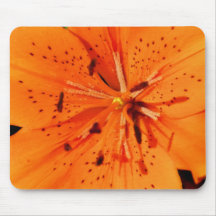 Lily Mouse Pads