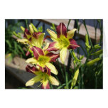 LILY NOTE CARD