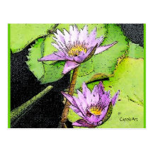 "Lily Pads" Botanical Post Cards