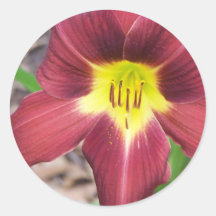 Lily Radiance Round Stickers