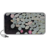 Lilypads Speakers