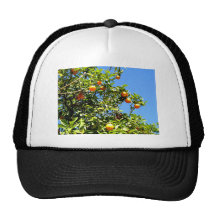 Limones Hat