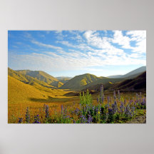 Lindis Pass Posters