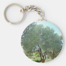 Lined Olive grove trees against blue sky Key Chains
