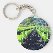 Lined seedlings in garden keychain