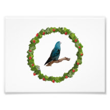 Linnie Christmas Wreath Photograph