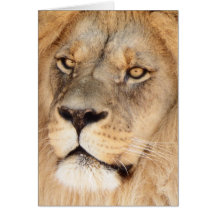 Lion Face Greeting Cards