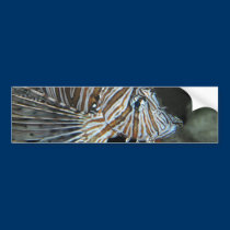 Lion Fish bumper stickers