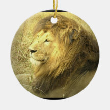 Lion Images Ornament