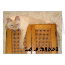Lion in training.  card