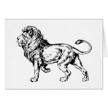 Lion - King of the Jungle Cards