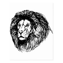 lion - king of the jungle post card
