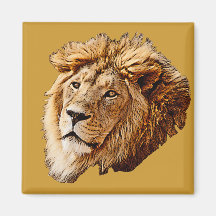 Lion Picture Magnets