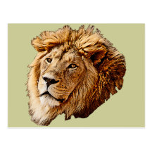 Lion Picture Post Cards