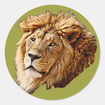 Lion Picture Sticker
