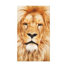 Lion Portrait Stretched Canvas Prints