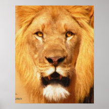Lion Print