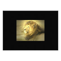Lion Pride Invitation