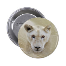 Lion spirit warrior pin