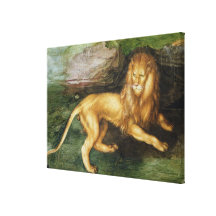 Lion Stretched Canvas Print