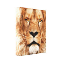 Lion - The King Gallery Wrapped Canvas