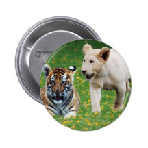 Lion & tiger cubs at play button