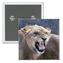 Lioness Button
