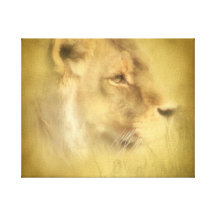 Lioness Canvas Prints