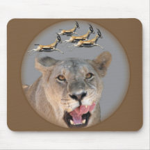Lioness considers lunch. mousepad