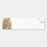 Lioness with Tongue Out Bumper Stickers