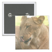 Lioness with Tongue Out Pin