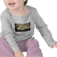Lions and cub in Botswana Africa T-shirts