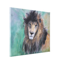 Lion's Gaze Stretched Canvas Prints