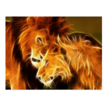 Lions in Love Postcards