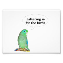Littering is for the birds photo art