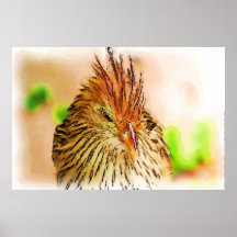 little brown bird poster