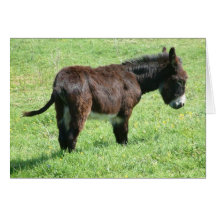 LITTLE DONKEY GREETING CARD