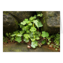 Little greens greeting card