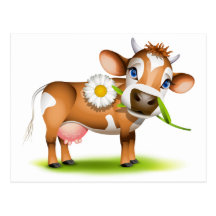 Little Jersey cow eating daisy Post Cards
